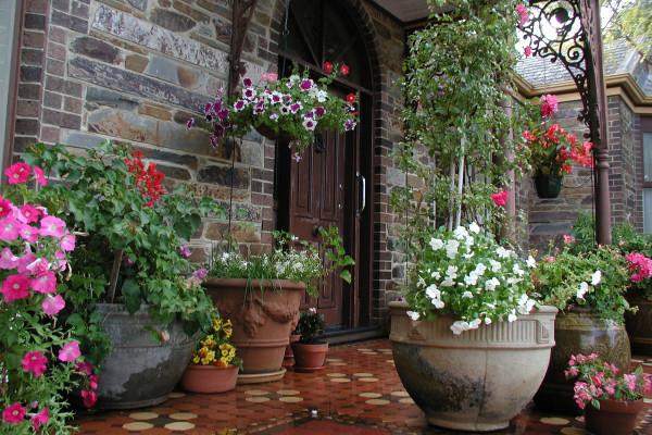 Potted Plants on Patio