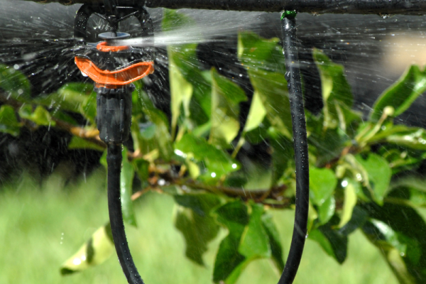 Rotor Rain® Plus on Sprinkler Adaptor