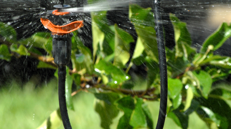 Rotor Rain® Plus on Sprinkler Adaptor