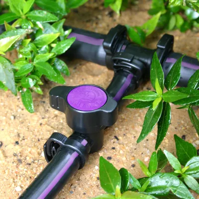 Purple Back® Valve