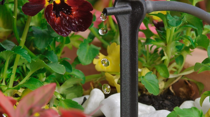 Asta® Drip PC Spike Dripper