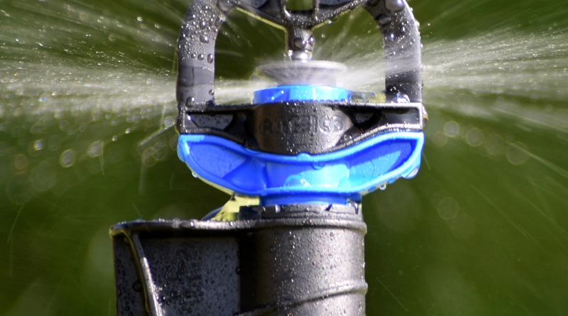 Rotor Rain Plus Mini Sprinkler