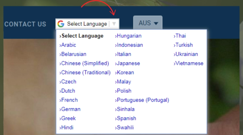 Antelco website drop-down language selector