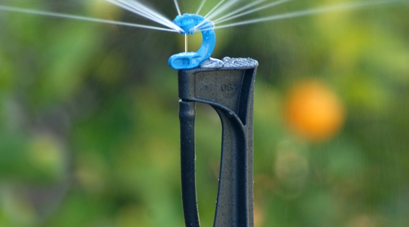 CFa AgSpray™ Assembly on Micro Stake