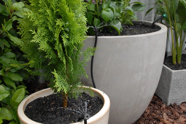 PotStream® in Pots