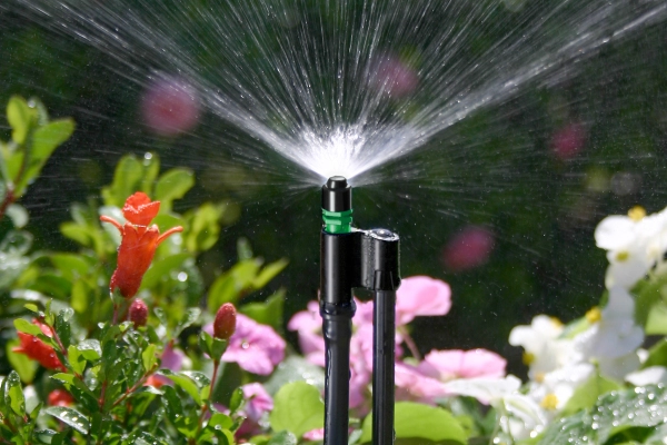 Micro Spray Stake Assembly