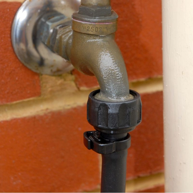 Nut & Tail On Tap (Faucet)