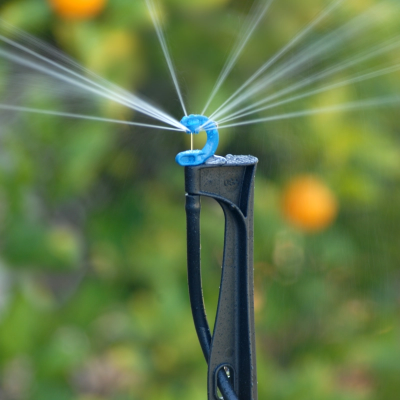 Cfa AgSpray™ Blue