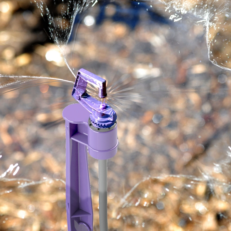 Reuzit® Spray