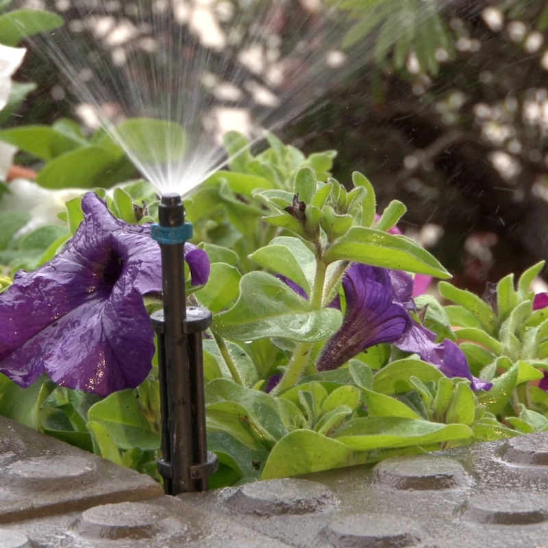 Micro Spray Winged Jet Blue 90° on Stake