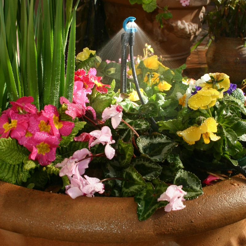 CFd® Downspray in Flower pot