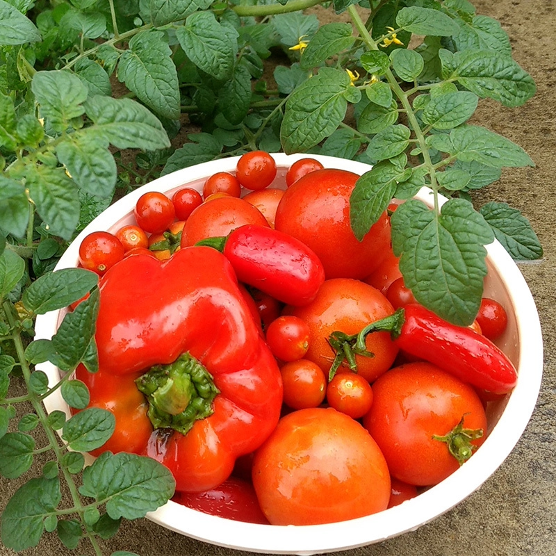 Vegetables