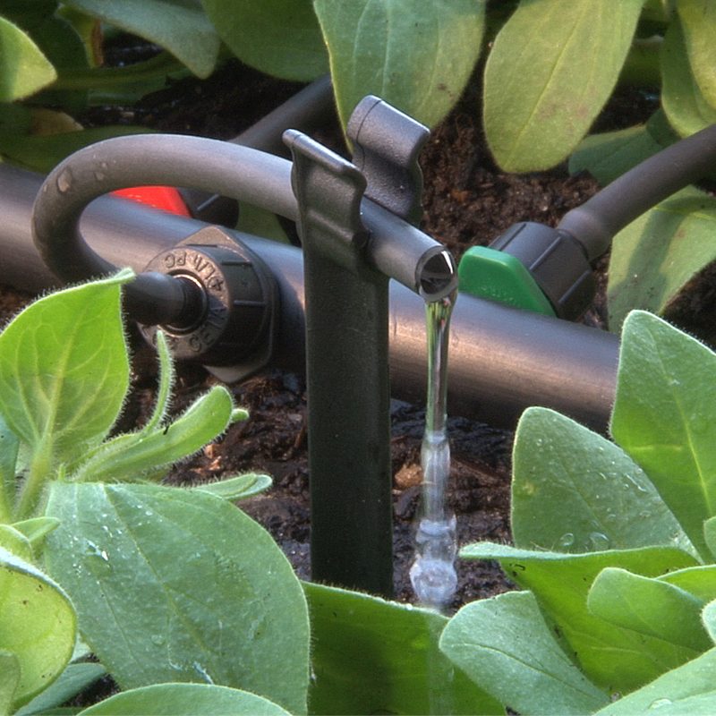 Drip Irrigation for your Summer veggies