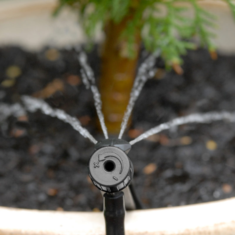 Winter Watering for your Garden