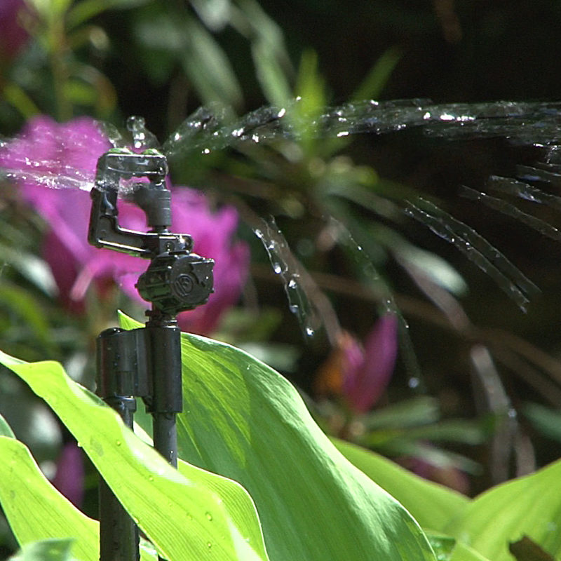 Matching the right Micro Irrigation system for your garden…