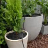 PotStream® in Pots