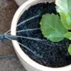 PotStream® Top View