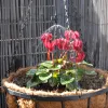 Vari-Jet™ Black 360° Hanging Pot