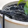 G - Potstream
