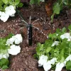 Shrubbler Spike in Garden