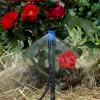 CFd Downspray on Roses
