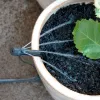 PotStream® Top View
