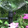 Spectrum Spike Spray