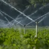 Sprinklers Xpando