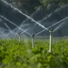 Sprinkler Installation