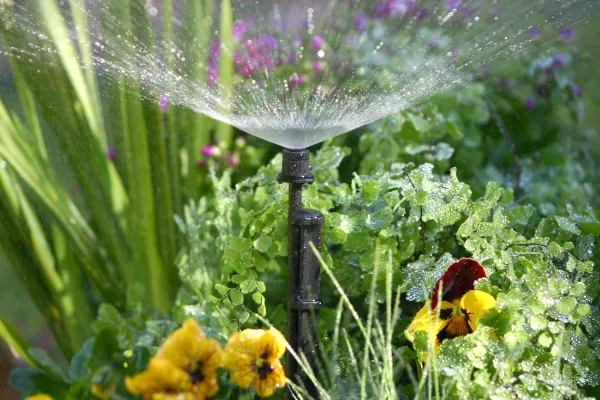 Spectrum™ 360° Adjustable Spray