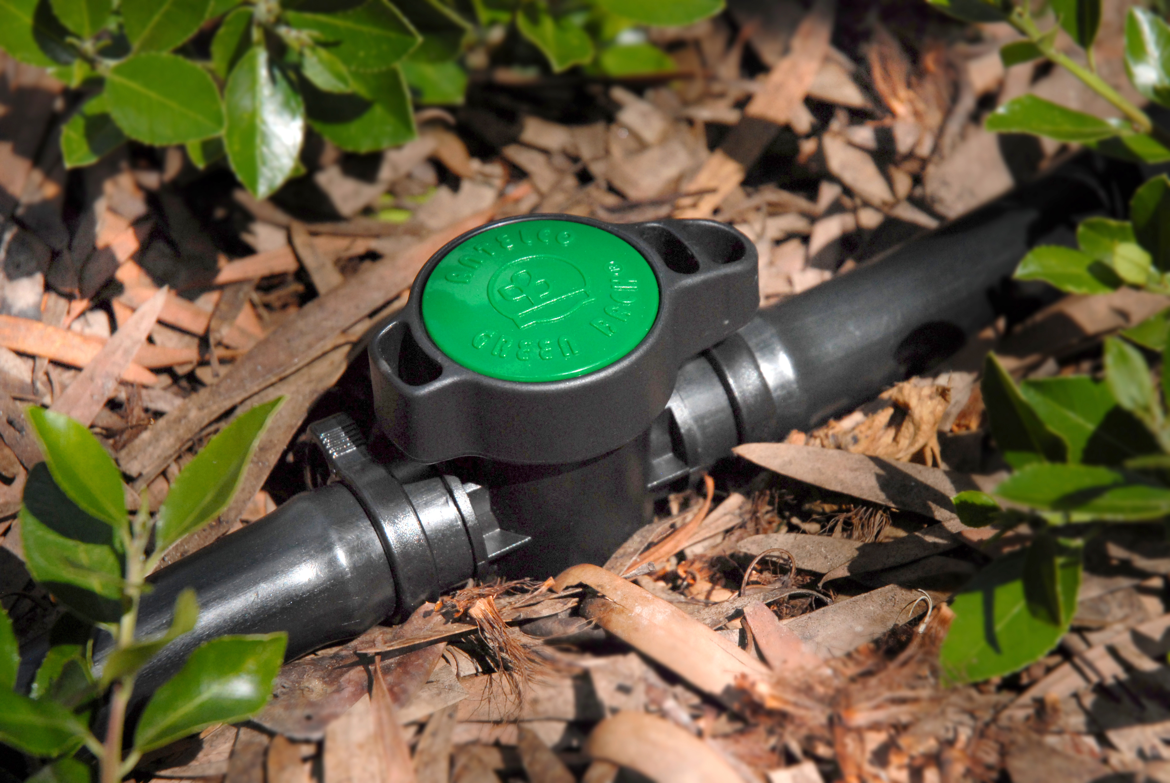 Green Back® Valve